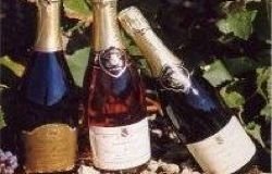 LE CHAMPAGNE HERVE HUDELET_1