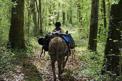 Randonnee avec ane à Auberive