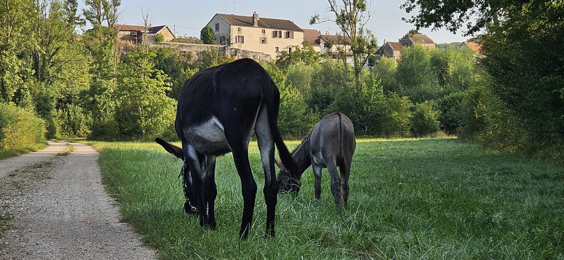 le village perché