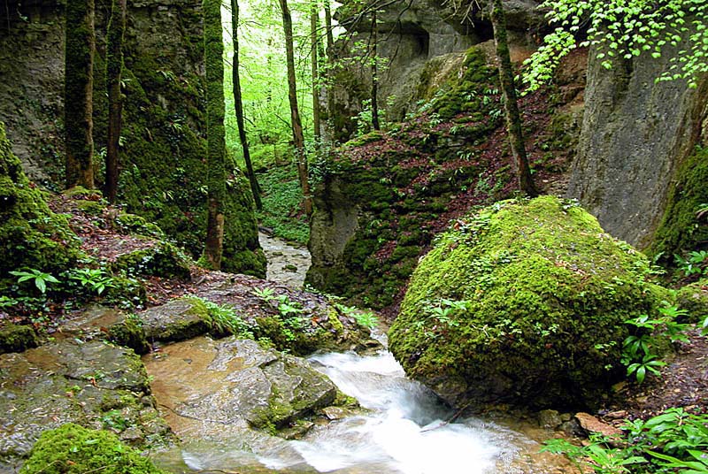 Gorges de la Vingeanne