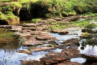 Source de l'Aube