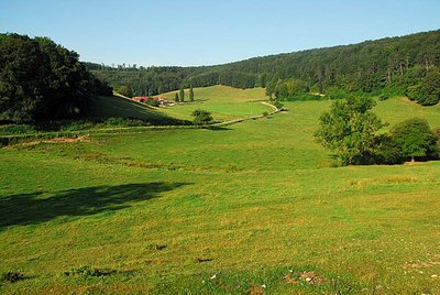 Vallon d'Amorey