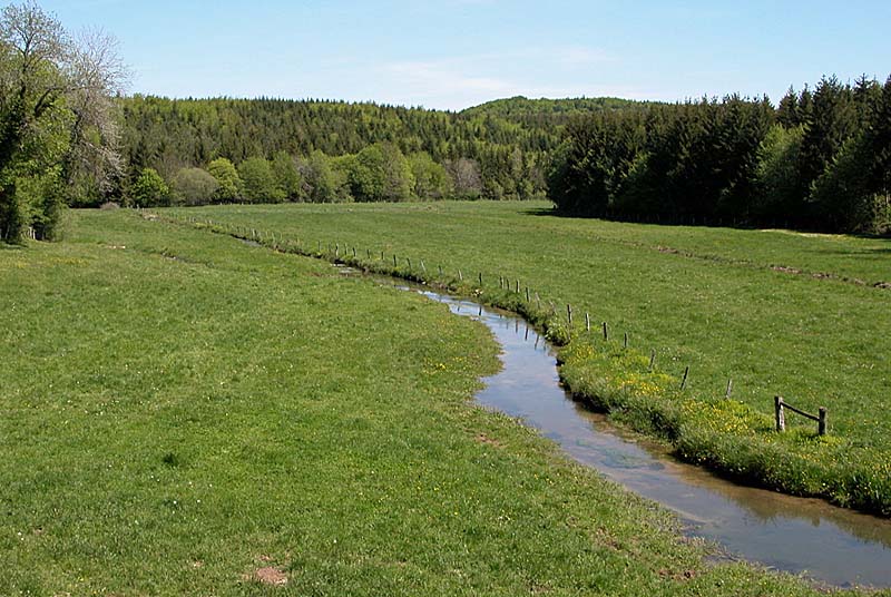 Vallée de l'Aube