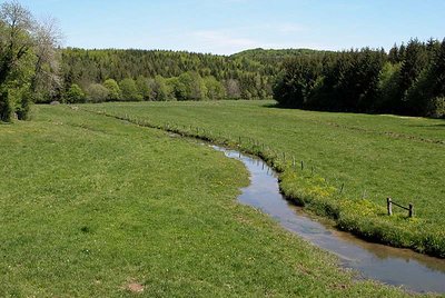 Vallée de l'Aube