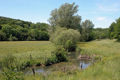 Vallèe de l'Ource