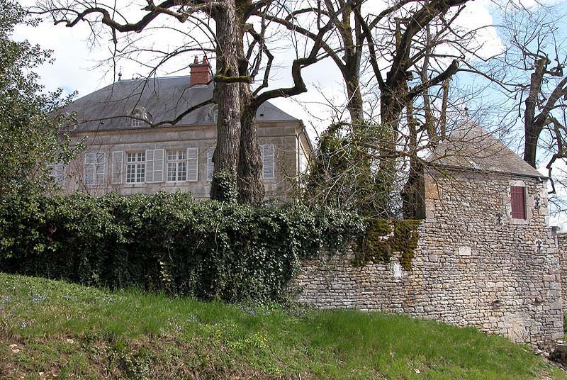 Château de Chatoillenot