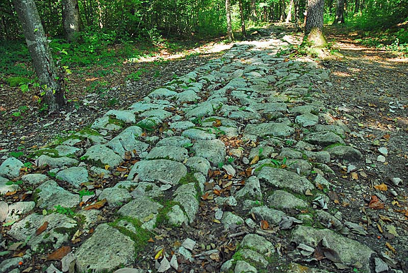 Site du Mausoée de Faverolles - la voie romaine