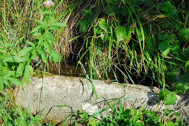 Auge d'eau-vive à Lamargelle-aux-Bois