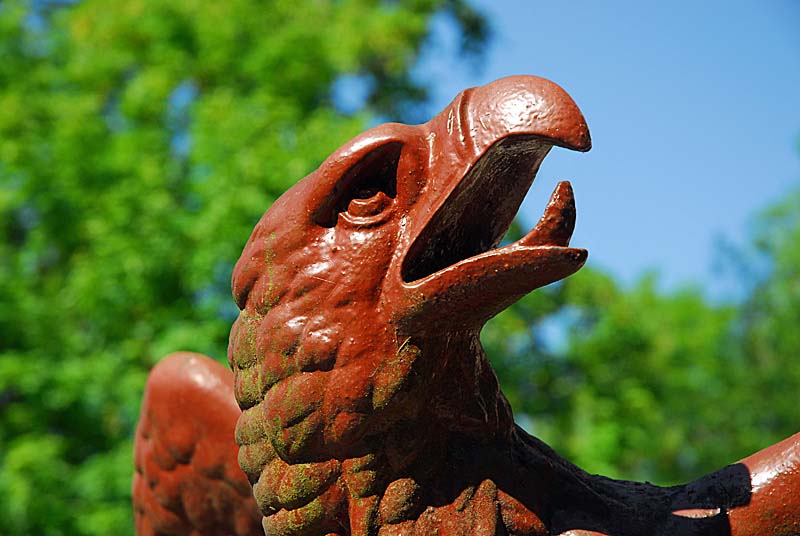 Aigle impérial à Montsaugeon