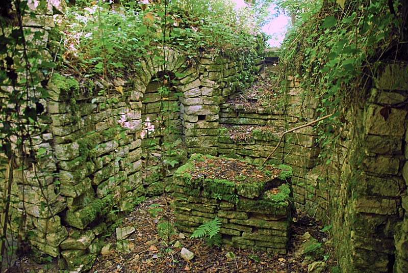 Ancien château de Montsaugeon