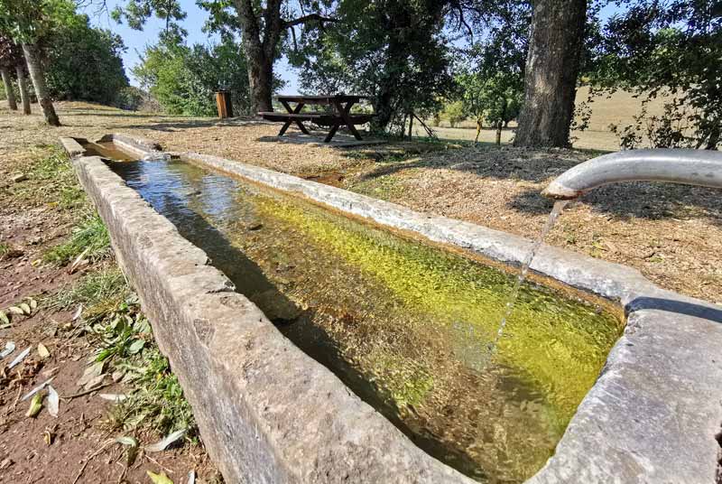 Auges d'eau vives à Poinsenot