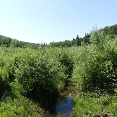 Etang des Marots