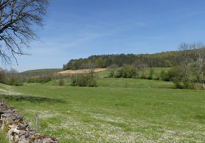 Val Clavin