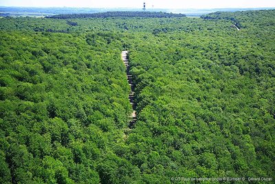 Le Haut du Sec