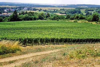 Vue sur Aubigny