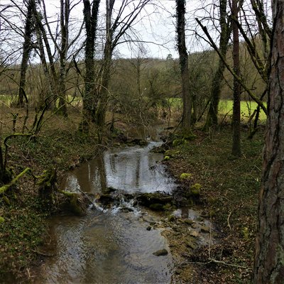 Le Bougeon