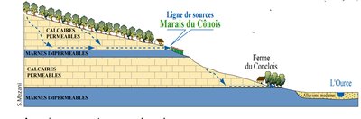 Schéma de la ligne de sources du marais du Cônois