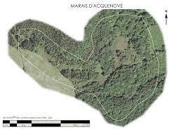 Marais d'Acquenove