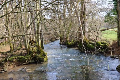 Rivière du Badin