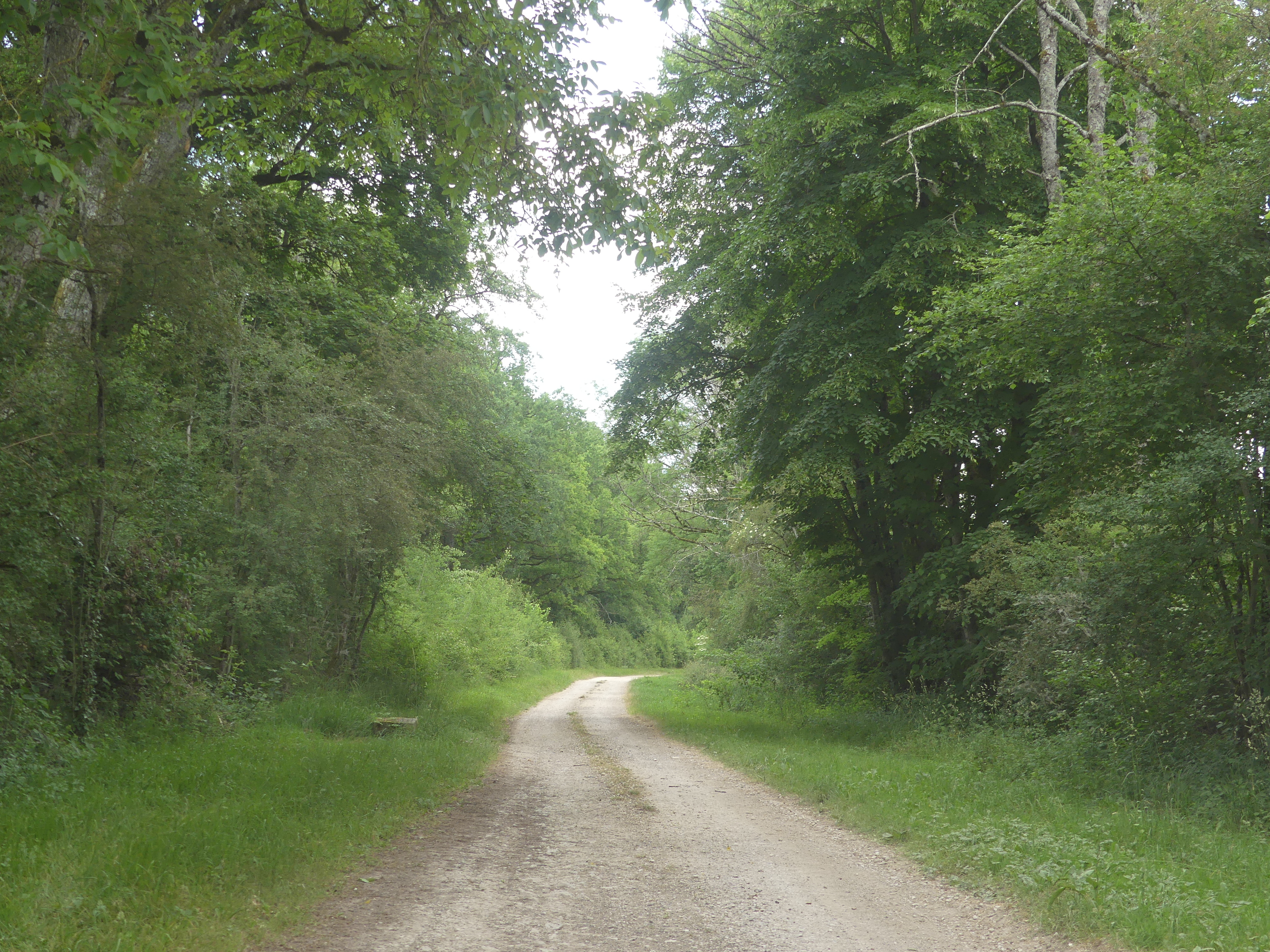 Chemin des Lames