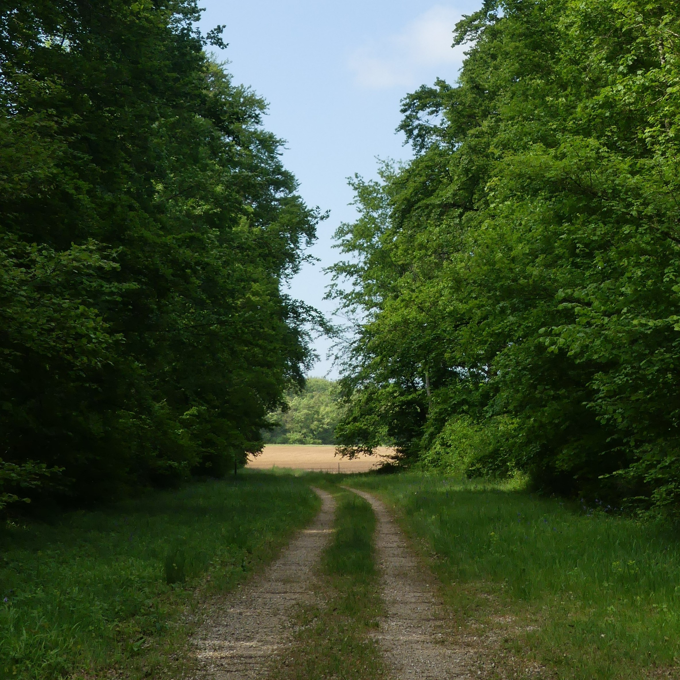 Chemin de la Montagne