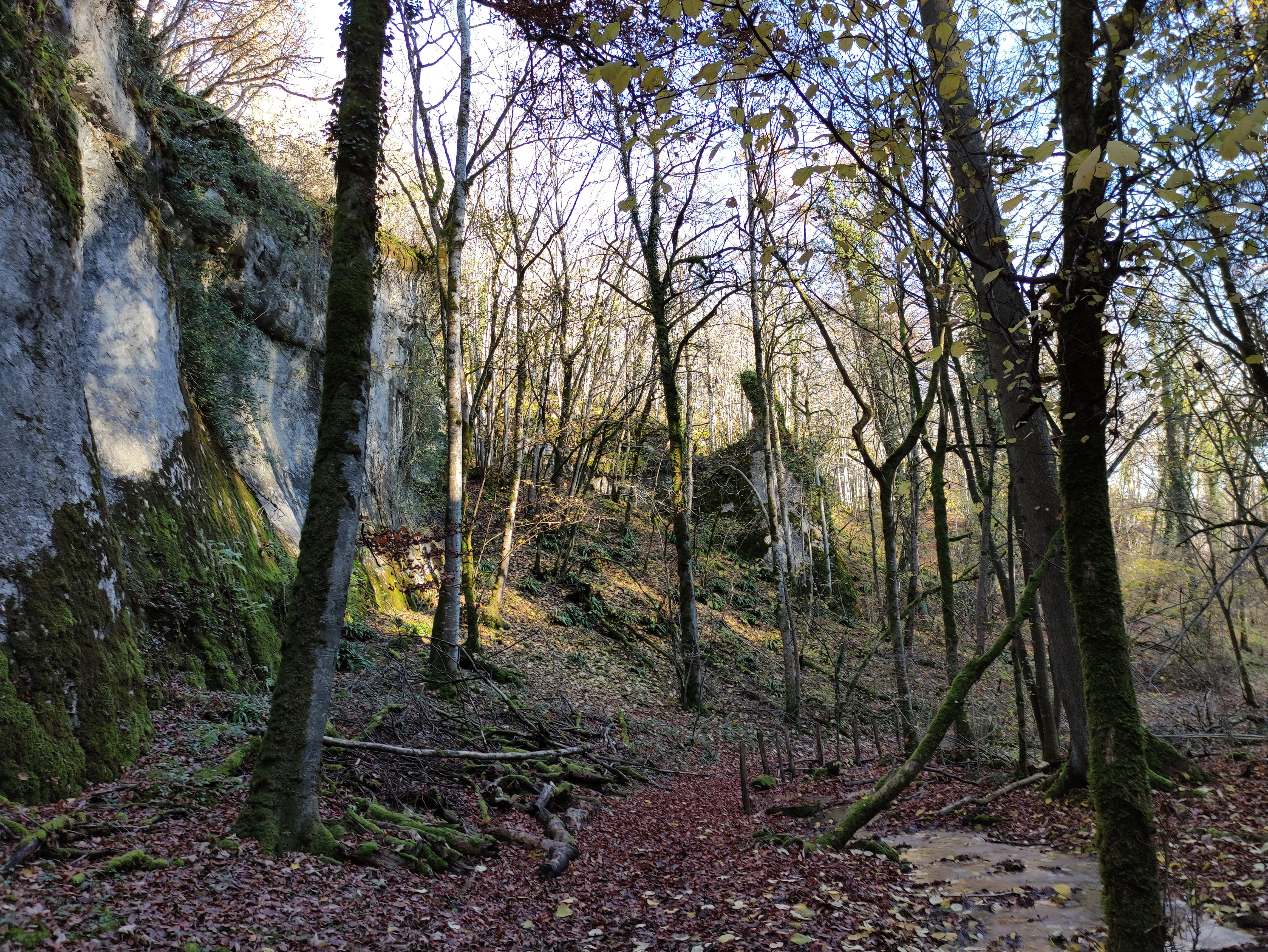 Gorges de la Vingeanne