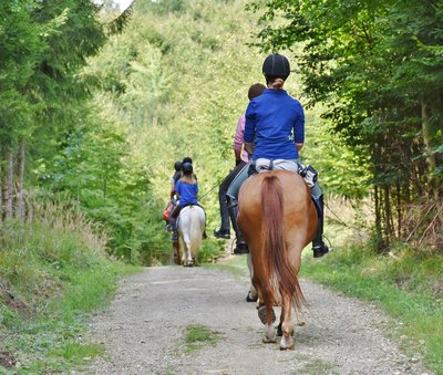 Cavaliers en forêt