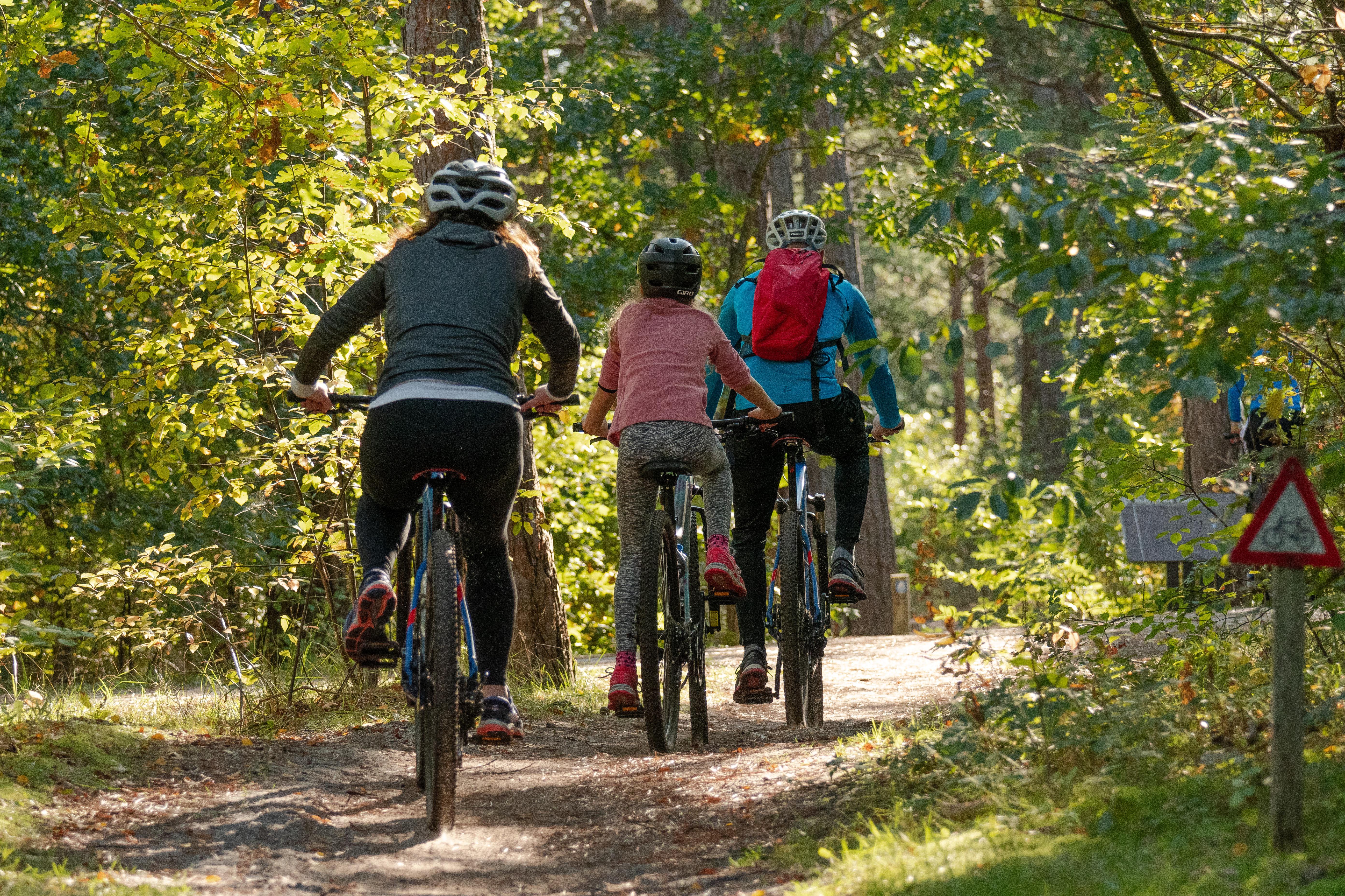 Cyclistes en forêt